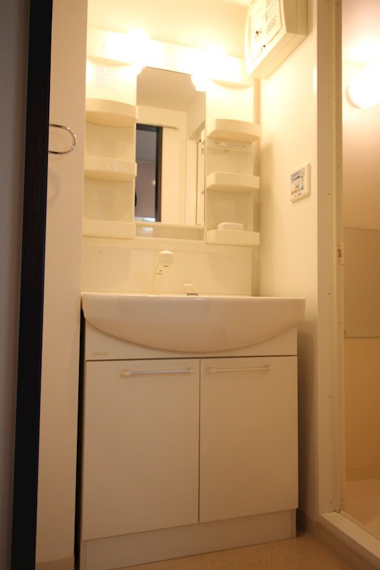 ドルフシィア その他2