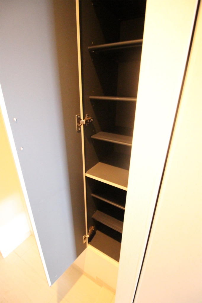 ドルフシィア その他15