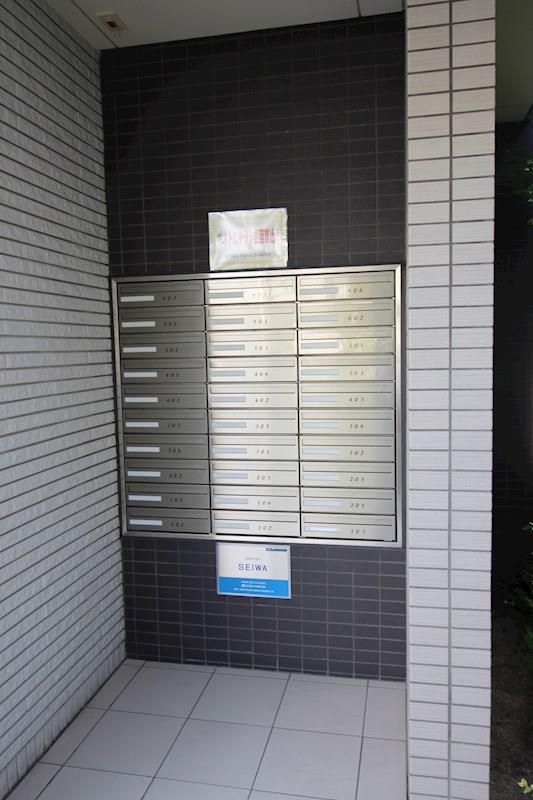 ドルフシィア その他16