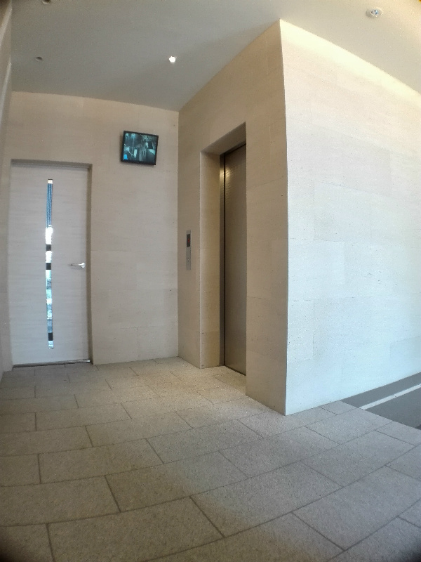 Freesia.Y その他5