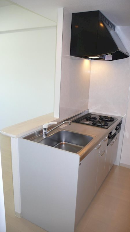 RobustCourt その他17