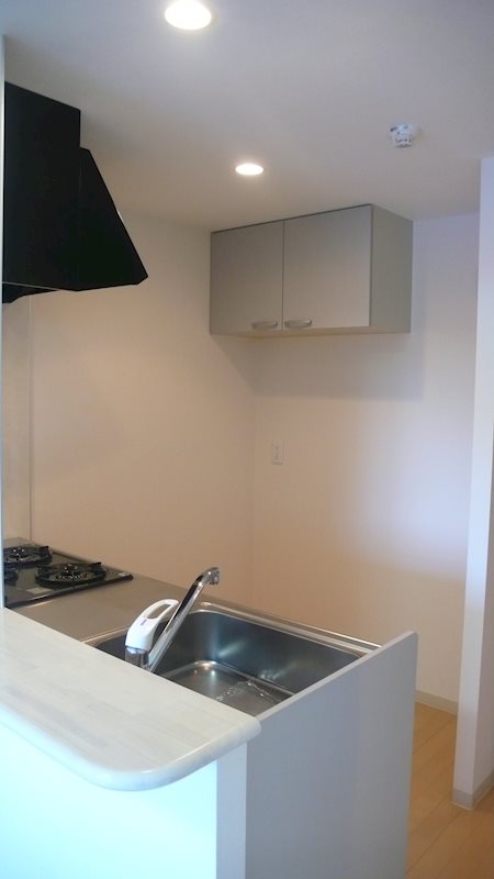 RobustCourt その他22