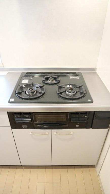 RobustCourt その他33