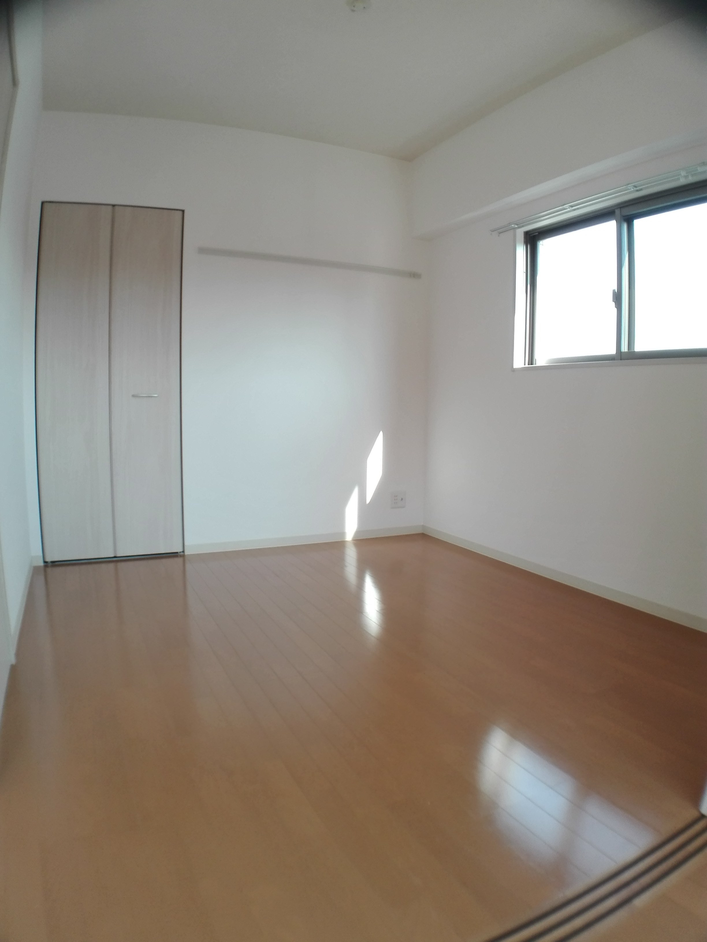 Freesia.Y その他6