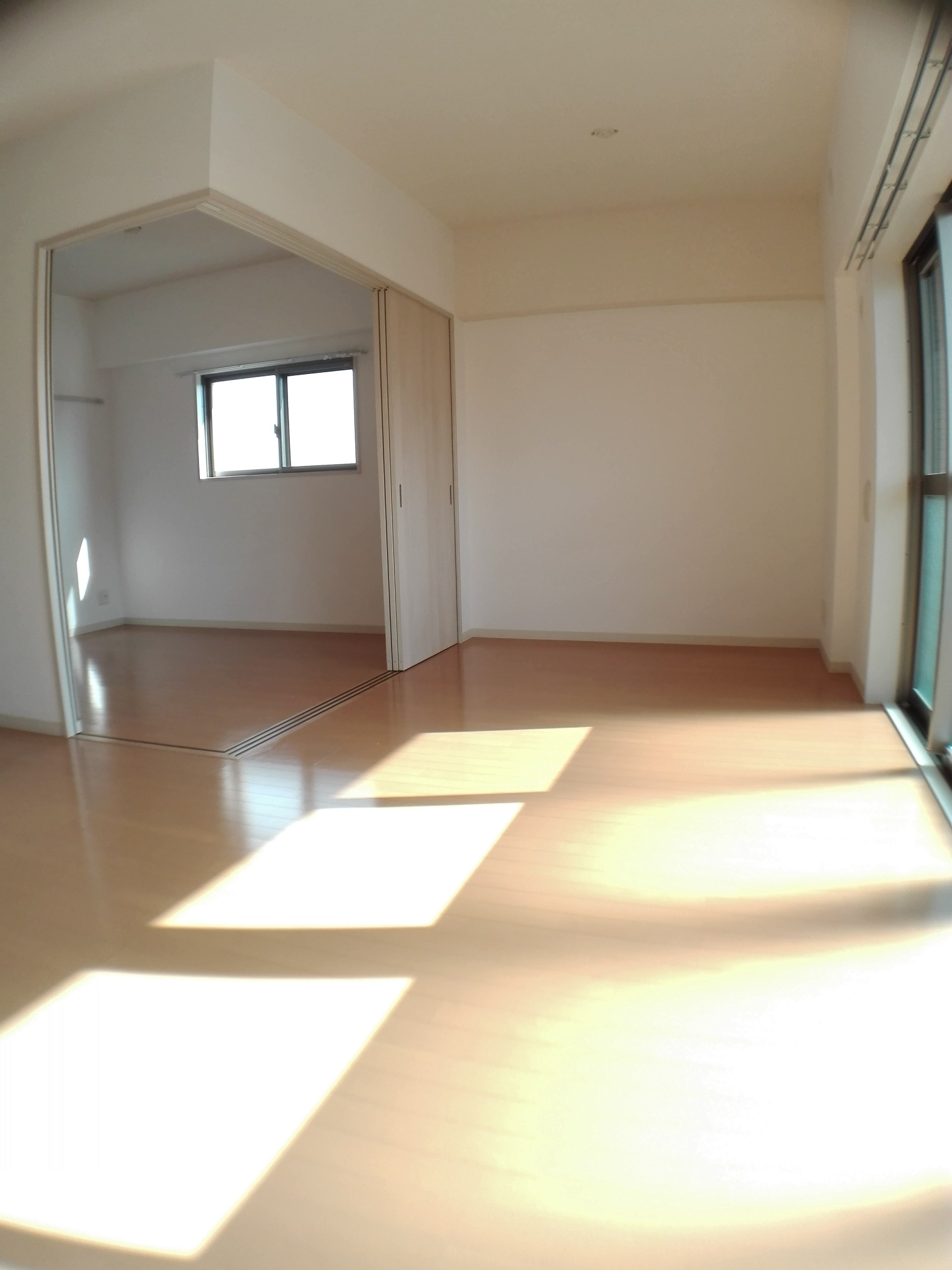 Freesia.Y その他16