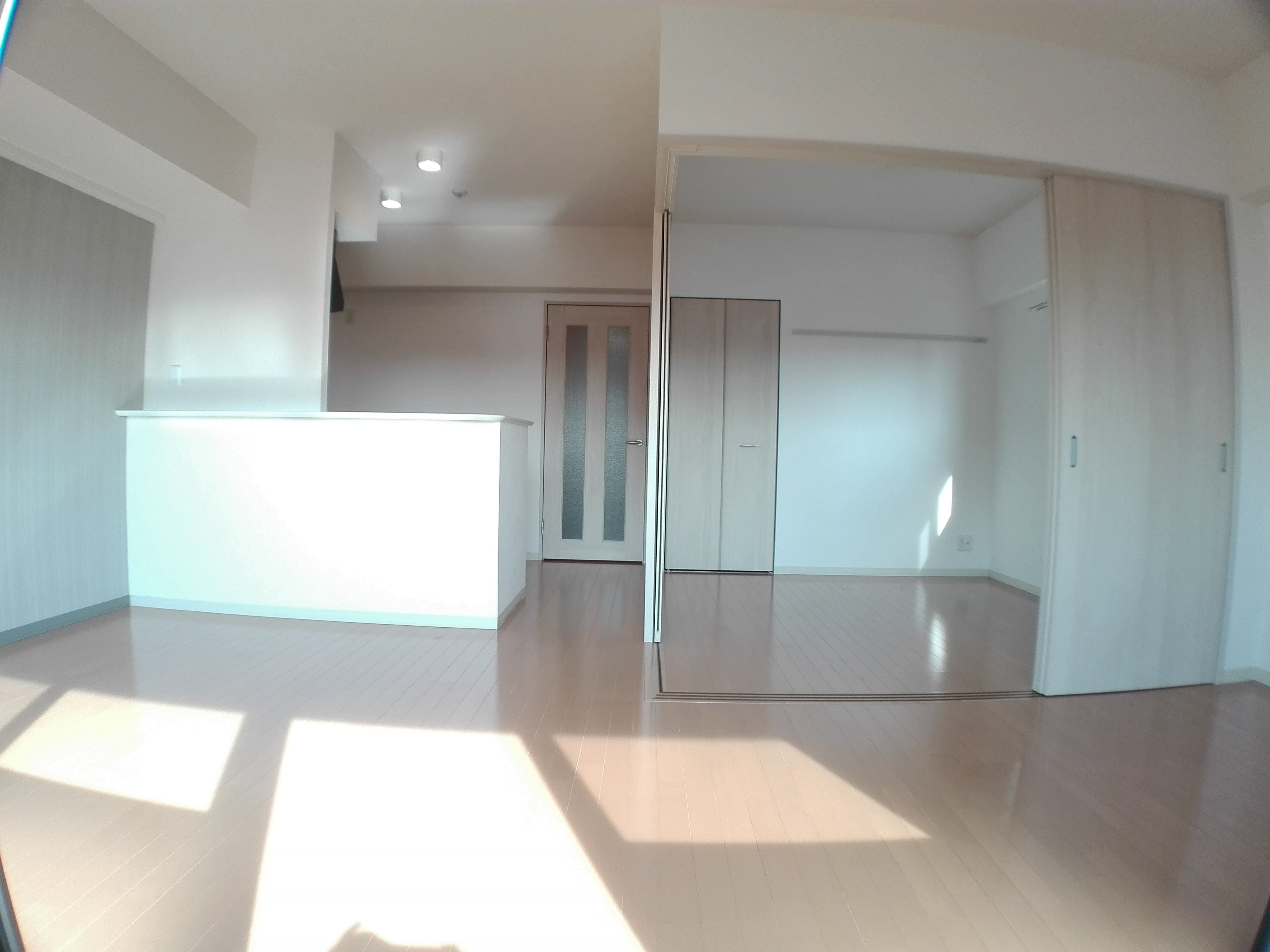 Freesia.Y その他17