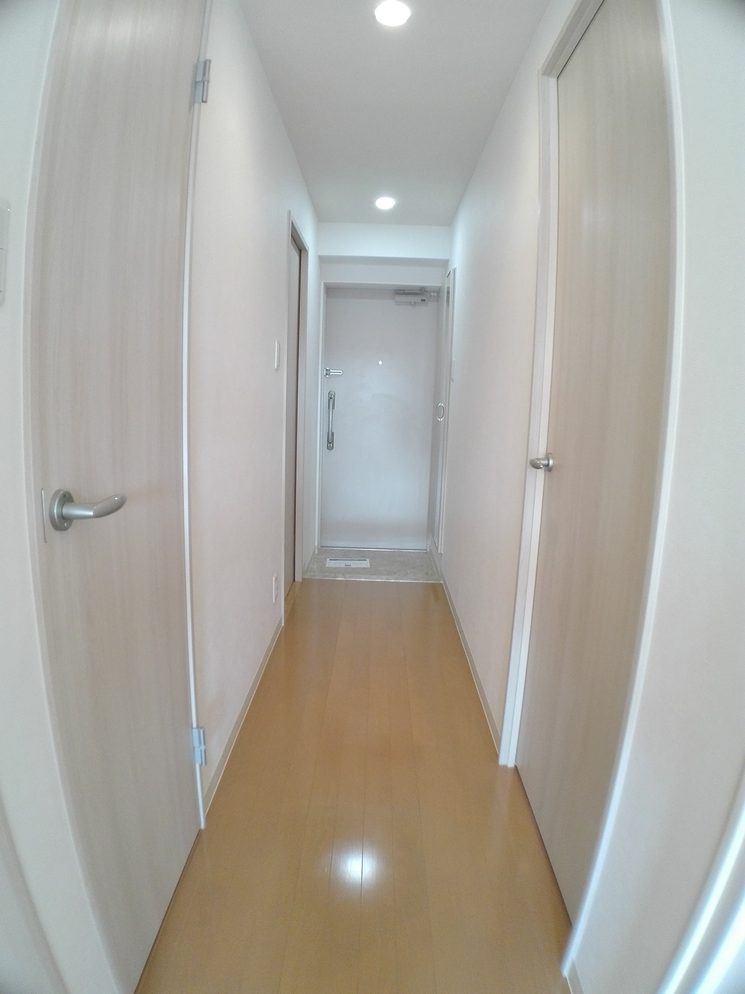 Freesia.Y その他19