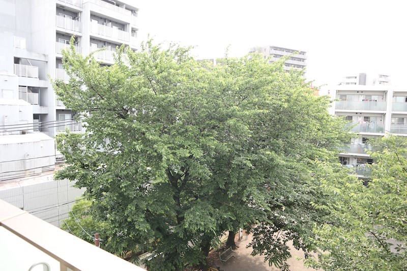 La gracieuse その他7