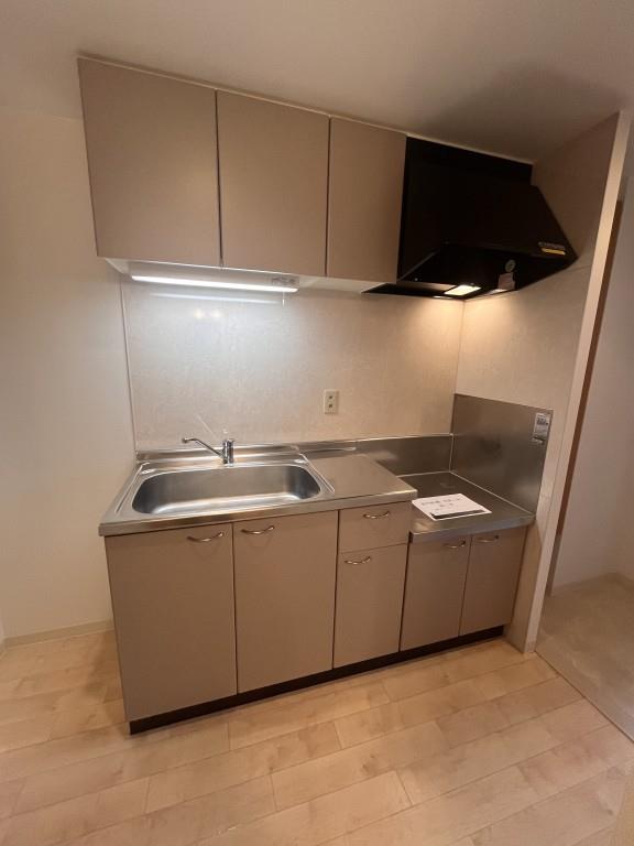 ヴィルコリーヌ その他15