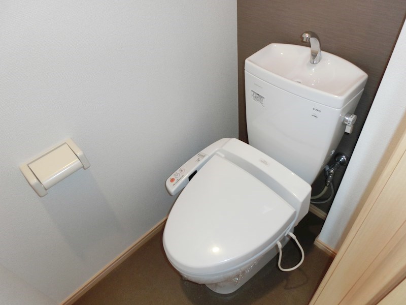 ﾙﾐｴｰﾙﾏｺﾞｼﾞⅤ その他1