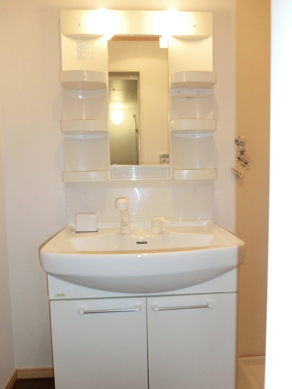 ﾙﾐｴｰﾙﾏｺﾞｼﾞⅤ その他2