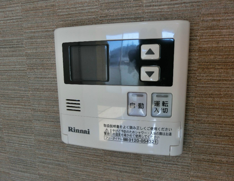 ﾙﾐｴｰﾙﾏｺﾞｼﾞⅤ その他4