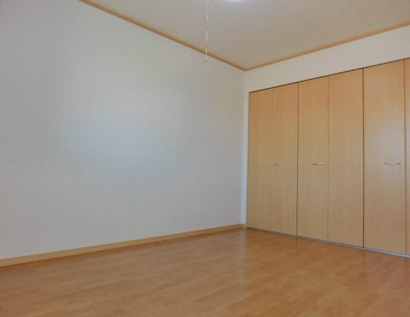 ﾙﾐｴｰﾙﾏｺﾞｼﾞⅤ その他8