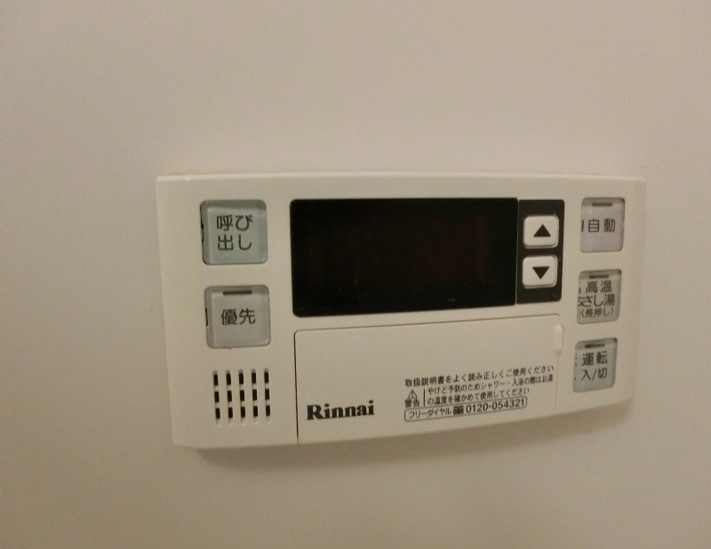 ﾙﾐｴｰﾙﾏｺﾞｼﾞⅤ その他10