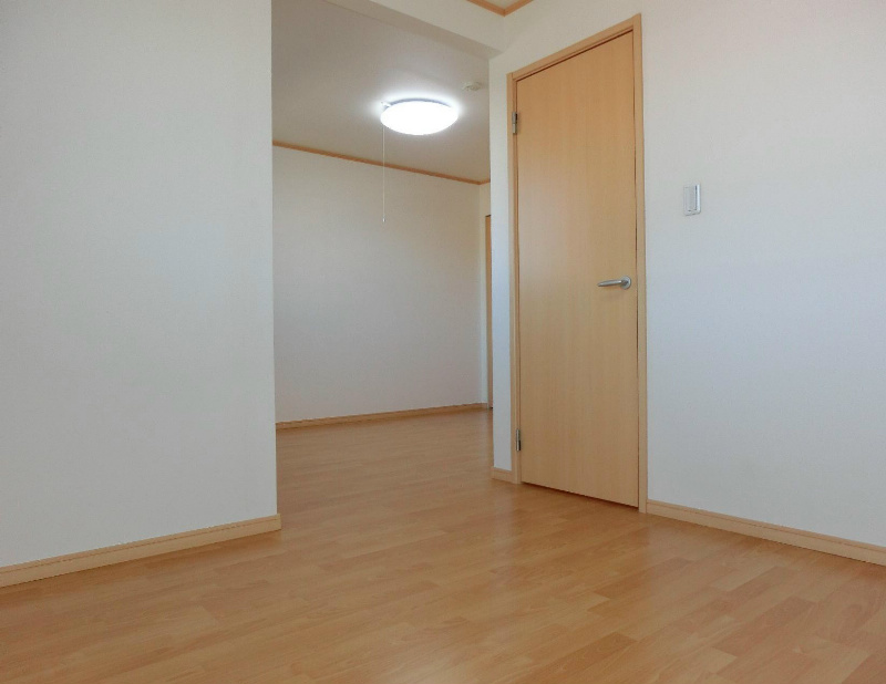 ﾙﾐｴｰﾙﾏｺﾞｼﾞⅤ その他11