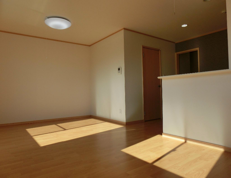 ﾙﾐｴｰﾙﾏｺﾞｼﾞⅤ その他14