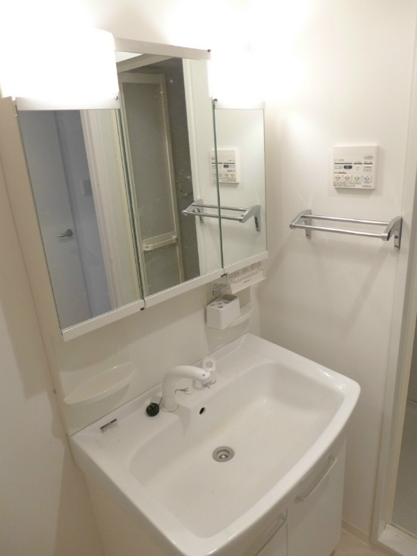 スカイビュー エヌティ その他2