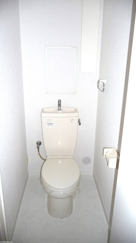 マハロ その他1