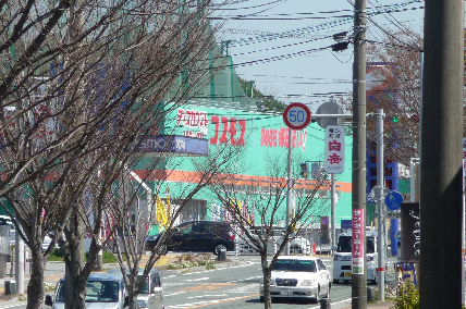 マハロ 周辺画像4