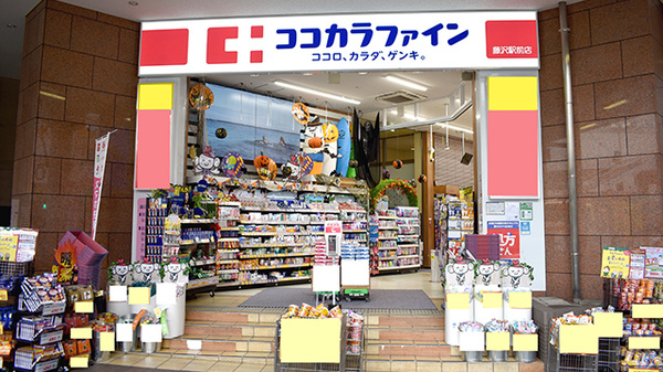 Lespedezaしょうなん 周辺画像5