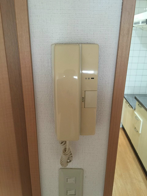 エリカⅢ その他3