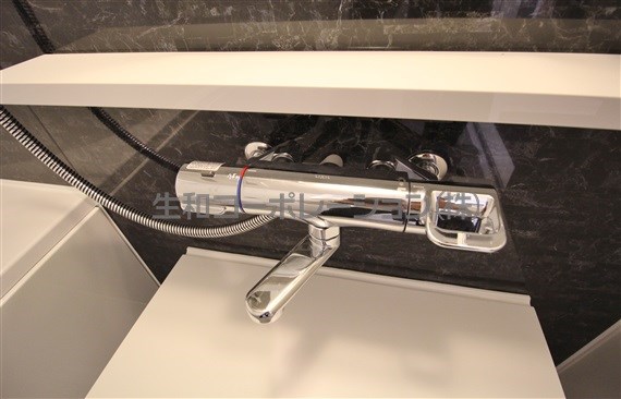 月島リバーサイドハイツ その他20