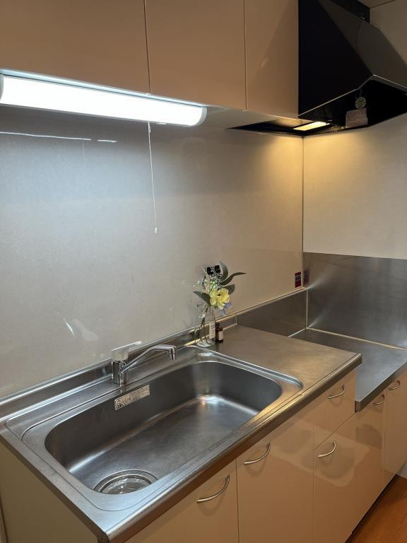 &#12450;&#12452;&#12522;&#12473; &#12475;&#12459;&#12531;&#12489; &#12381;&#12398;&#20182;12