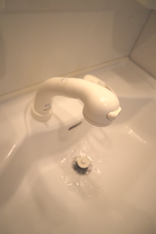 ウィステリア菜花（サイカ） その他4