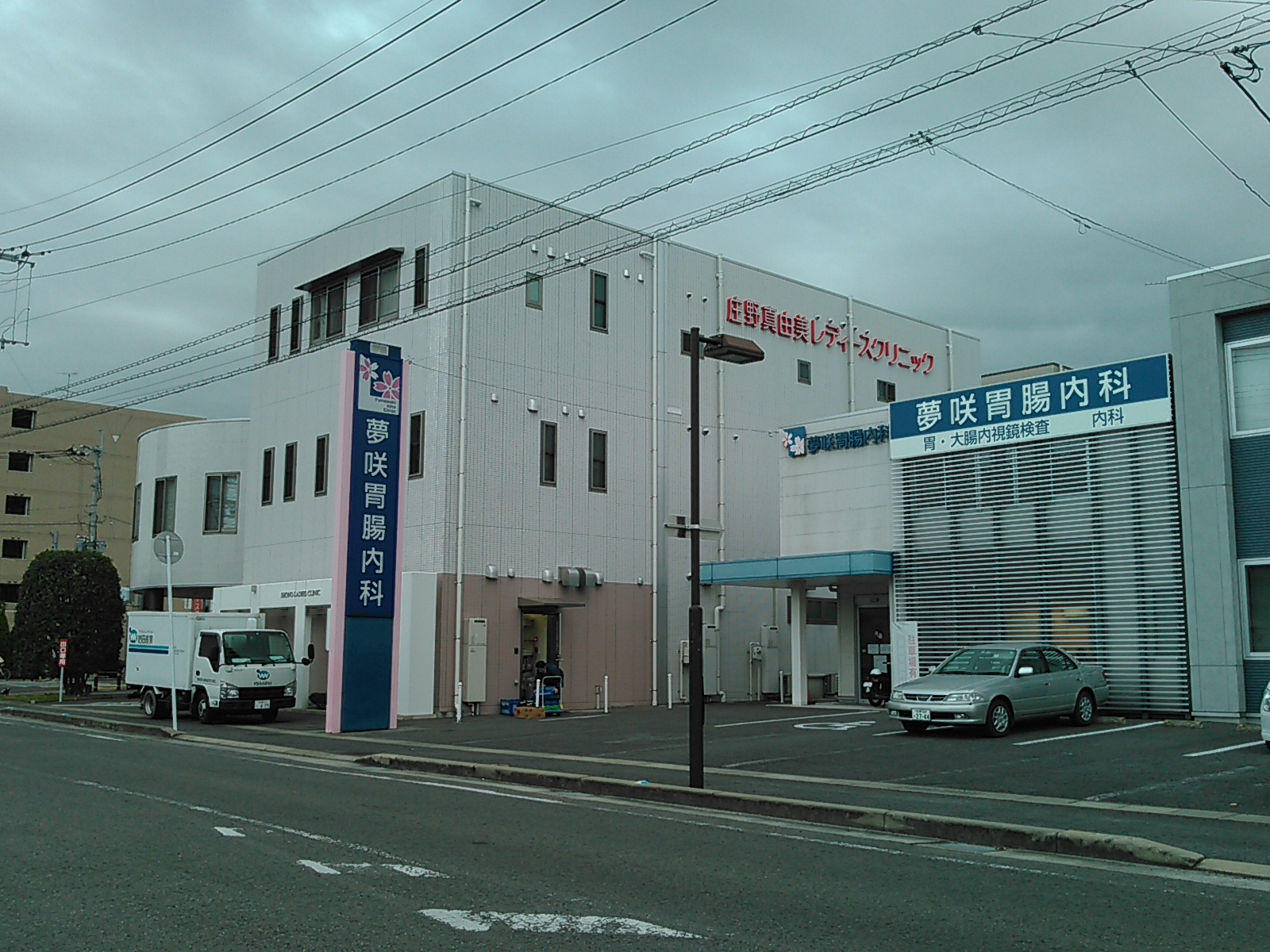 ウィステリア菜花（サイカ） 周辺画像6