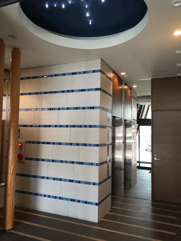 セイワパレス玉造 その他外観4