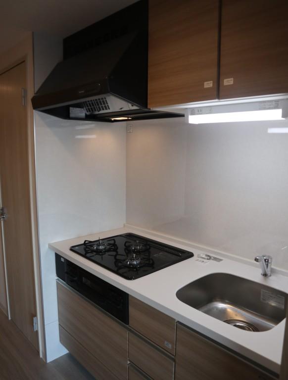 TS INFINI キッチン