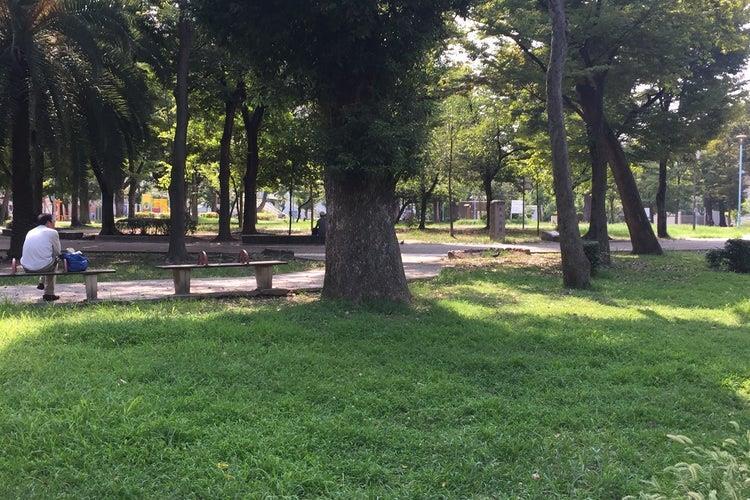 LaCASA新北野Ⅱ 公園