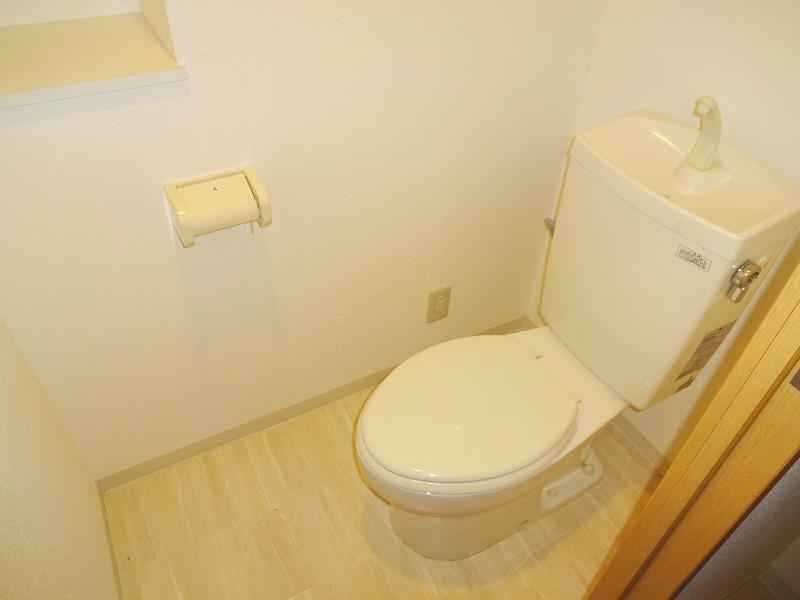 グランド秋桜 その他7