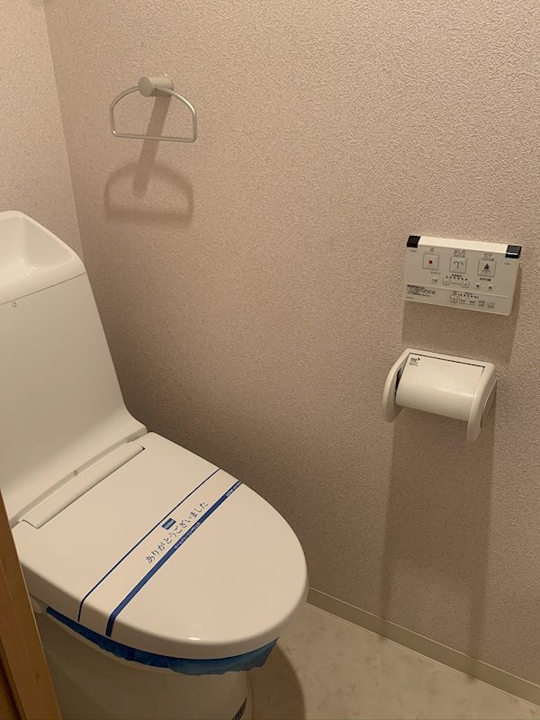 シュトランドコルブ その他1