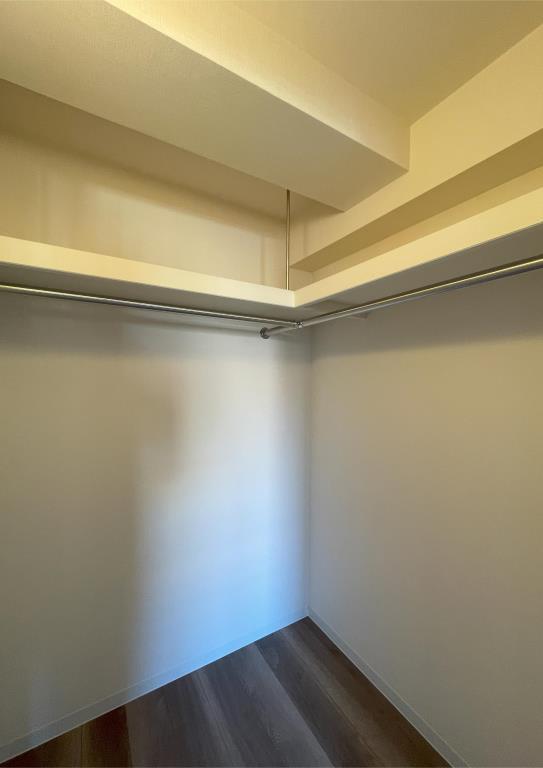 ステラフォレスト その他9