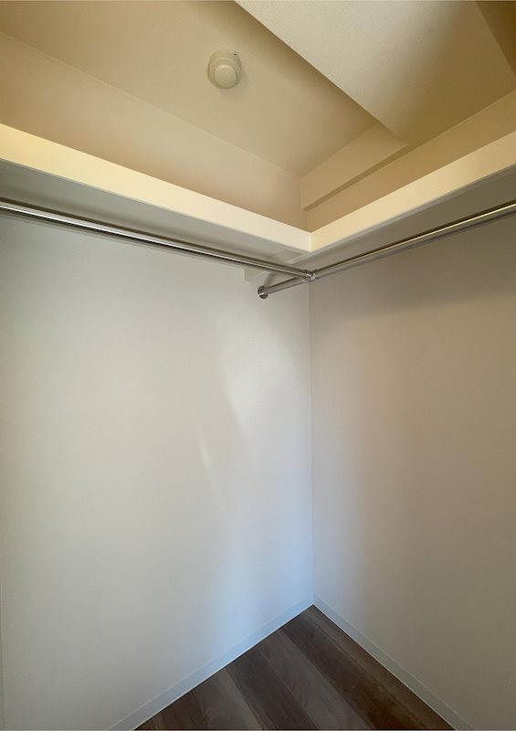 ステラフォレスト その他1