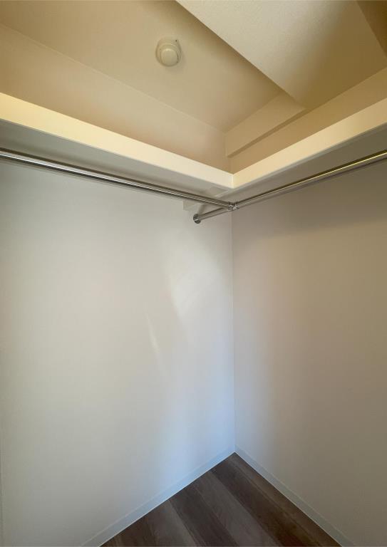 ステラフォレスト その他12