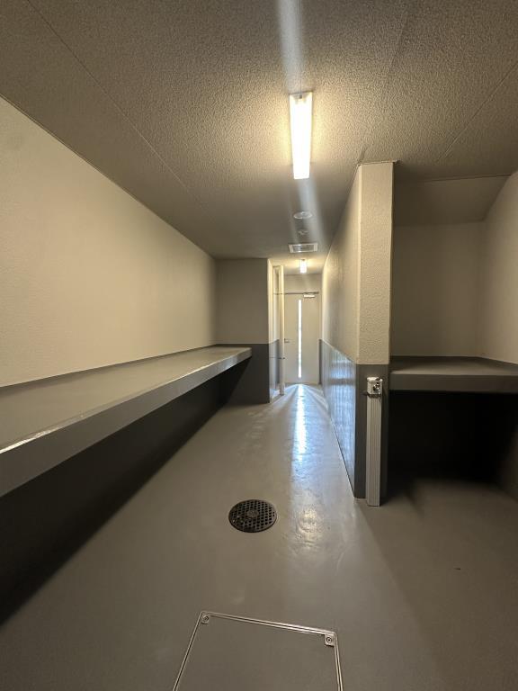 クレイラ西早稲田 その他16