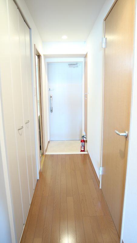 Flourish SⅠ その他6