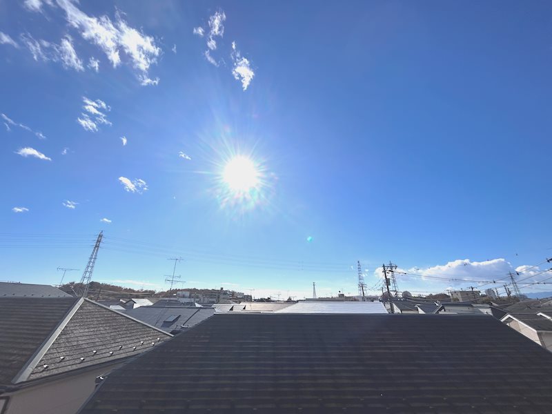 セリーズⅢ その他1