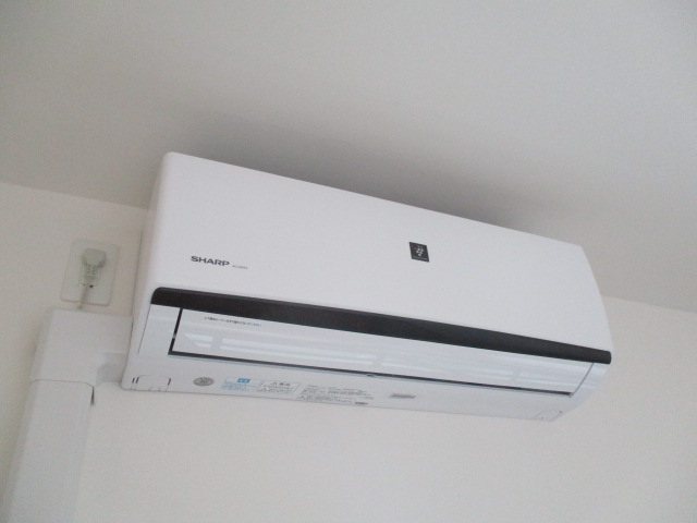 Shamrock・N その他4