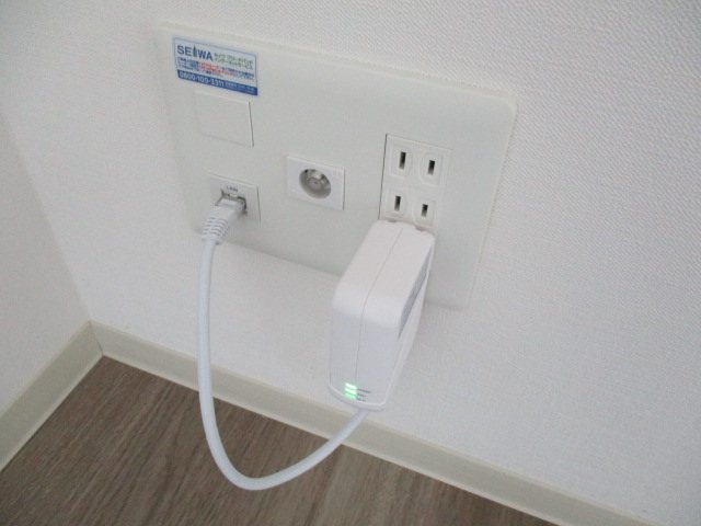 Shamrock・N その他6