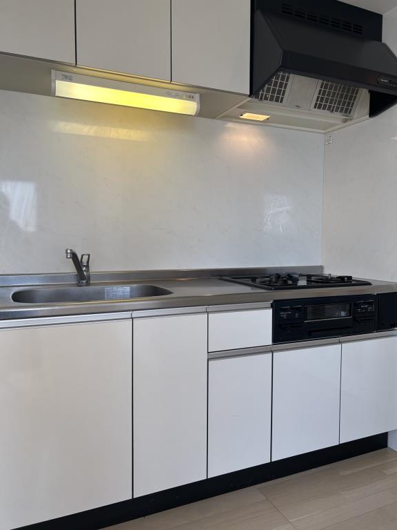 スカイラグーナ その他19