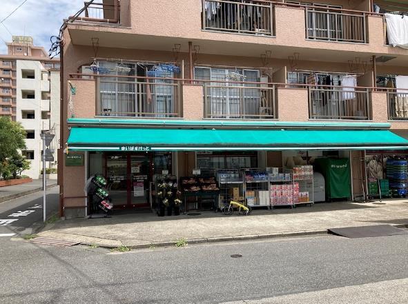 シャローム亀戸 周辺画像2