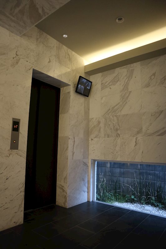 La glycine その他外観3