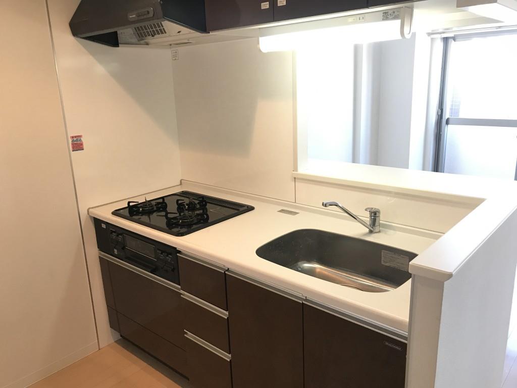 チェスナット 西大島 その他19