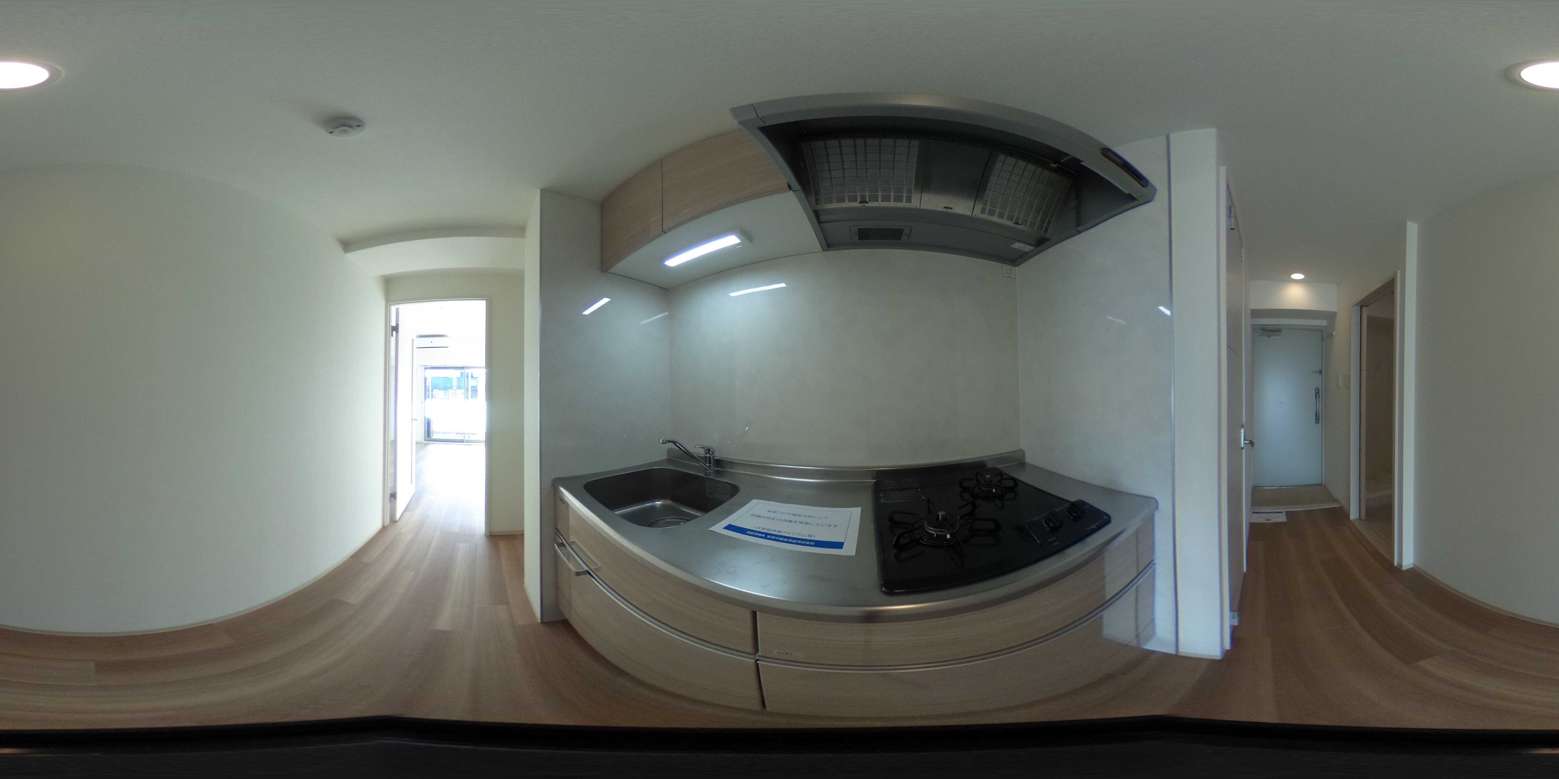 Shamrock・N その他