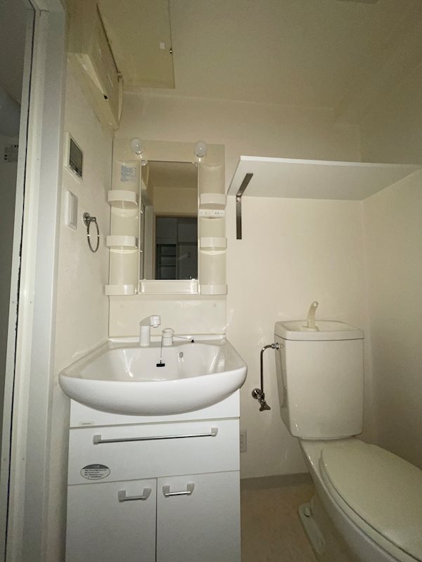 サザン長柄 その他1