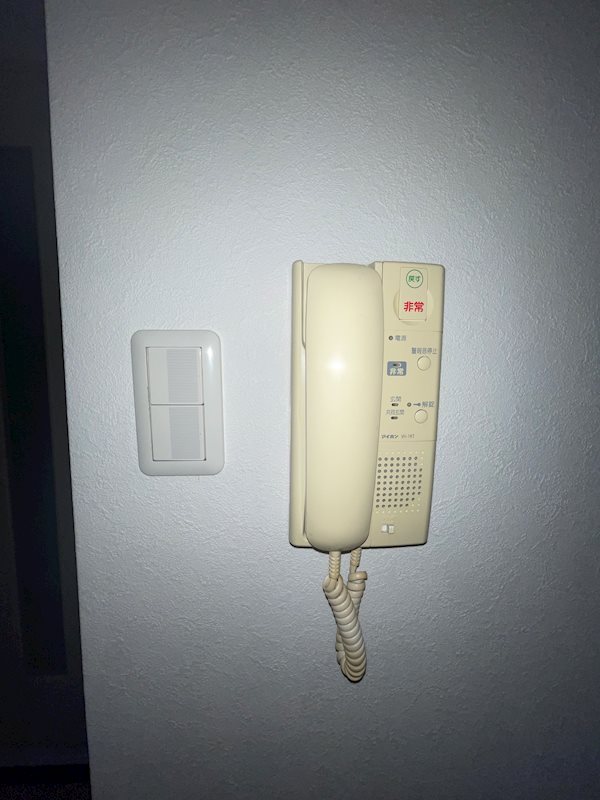 サザン長柄 その他4