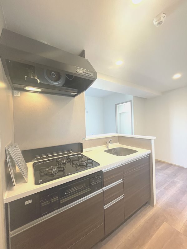 アルカスⅡ聖蹟 キッチン